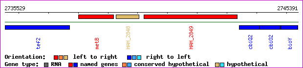 gene map