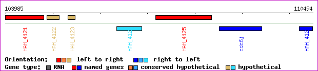 gene map
