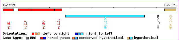 gene map