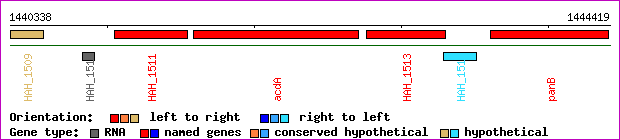 gene map