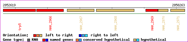 gene map