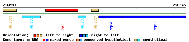 gene map
