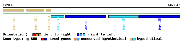 gene map