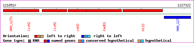 gene map