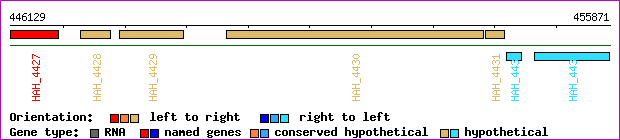 gene map