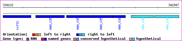 gene map