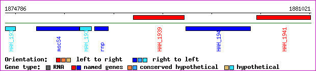 gene map