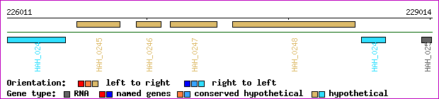 gene map