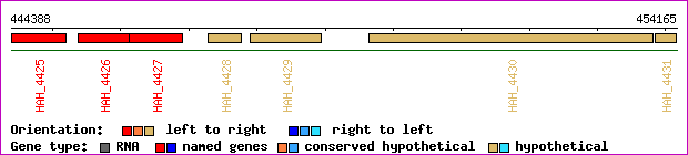 gene map