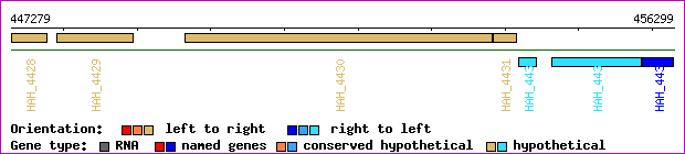 gene map