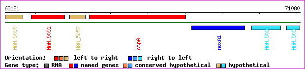 gene map