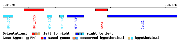 gene map