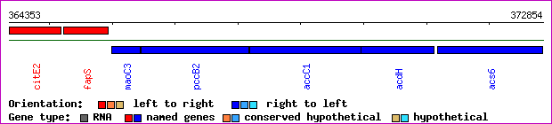 gene map