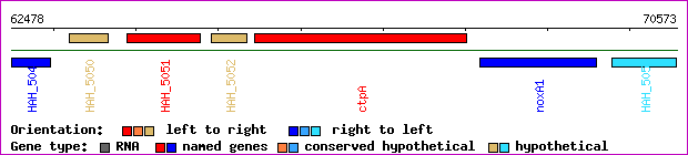 gene map
