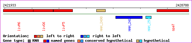 gene map