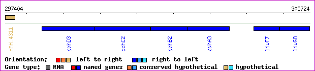gene map