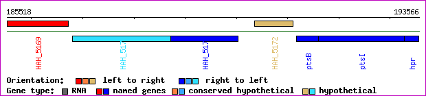 gene map