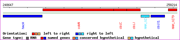 gene map
