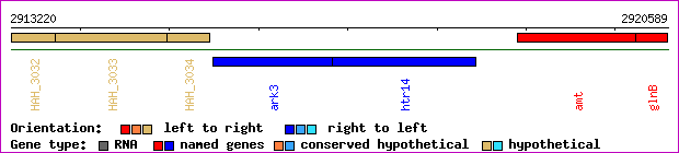 gene map