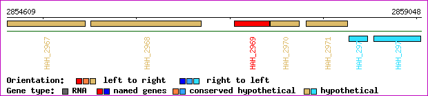 gene map