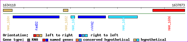 gene map