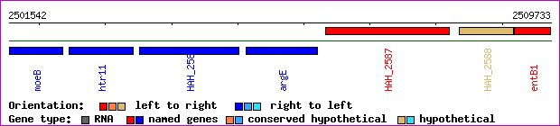 gene map