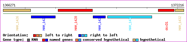 gene map