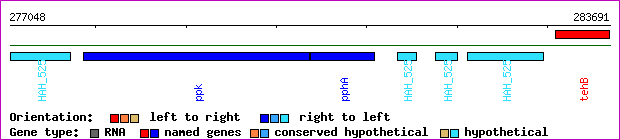 gene map