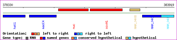 gene map