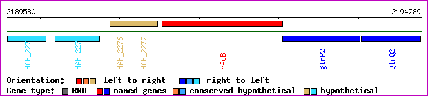gene map