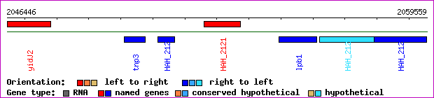 gene map