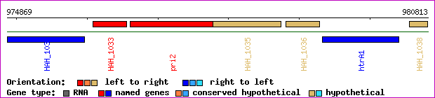 gene map