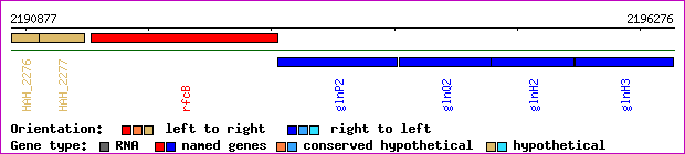 gene map