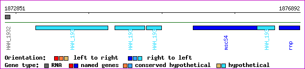 gene map