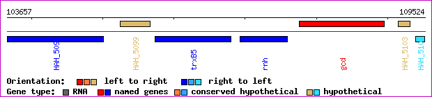gene map