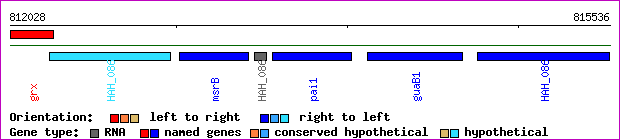 gene map