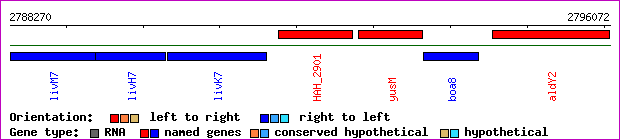 gene map