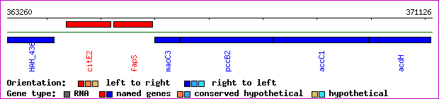 gene map