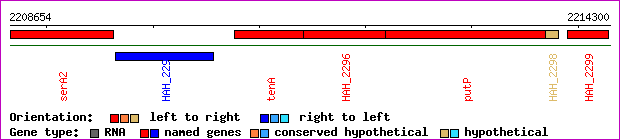 gene map