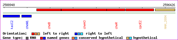 gene map
