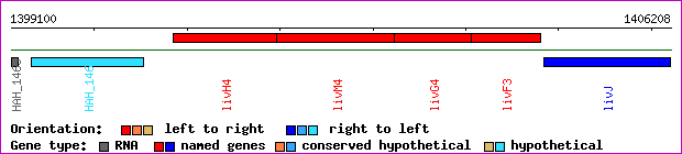 gene map
