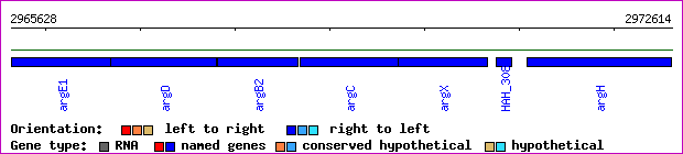 gene map