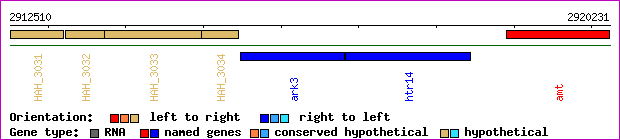 gene map