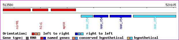 gene map