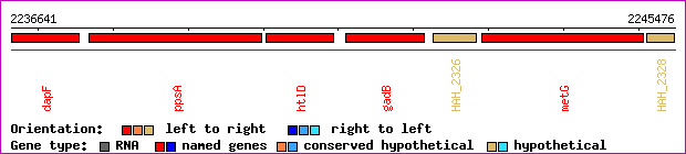 gene map