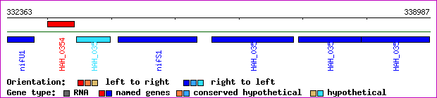 gene map