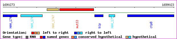 gene map