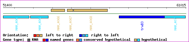 gene map