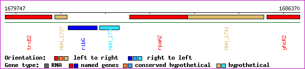 gene map