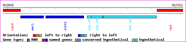 gene map